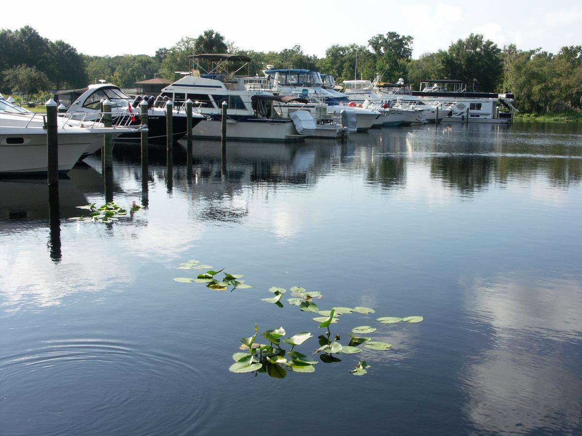 Big River Marina & Lodge Astor Екстериор снимка